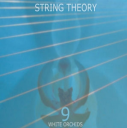 String Theory